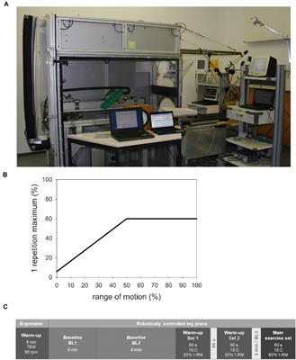 Enhanced Blood Supply Through Lower Body Negative Pressure During Slow-Paced, High Load Leg Press Exercise Alters the Response of Muscle AMPK and Circulating Angiogenic Factors